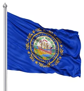 NUOVO 2x3 ft NEW HAMPSHIRE STATE OF FLAG migliore qualità venditore USA - Foto 1 di 2
