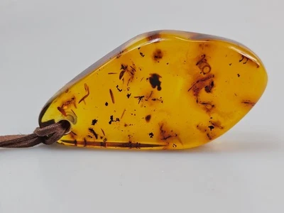Collana ambra con molte inclusioni insetti pietra grande gancio unisex - Immagine 1 di 4