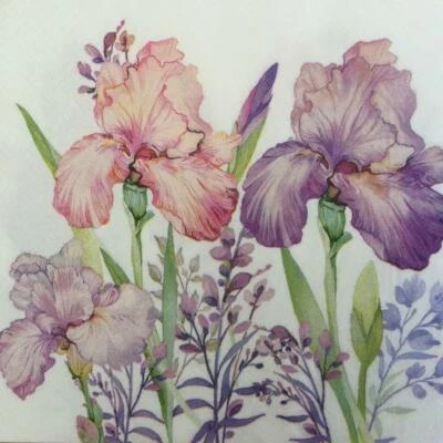PAPER NAPKINS / SERVIETTES PK20 IRIS FLOWERS PURPLE & PINK 3PLY - image 1 of 2