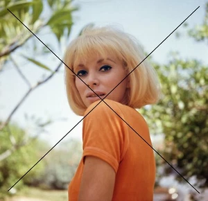 PHOTO DE MIREILLE DARC - Picture 1 of 1