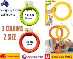 Dog Chew Ring Fitness Flying Discs Toys Outdoor &Indoor Dog Puppy Training Toy - Picture 1 of 10