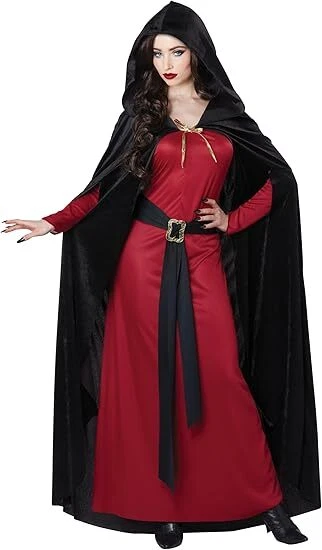 Gothic Dark Fairytale Sorceress Renaissance Adult Costume - Image 1 of 1