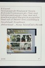 St. Vincent 2003 - 2016 Sammlung Young und Palm Island & Tobago Cays Postfrisch