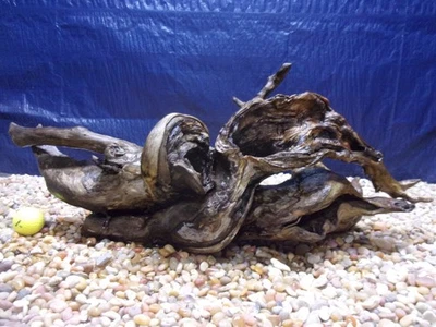 X-Large коряги 11 «x 26» x 14» аквариума террариум рептилии натуральное искусство - Изображение 1 из 4