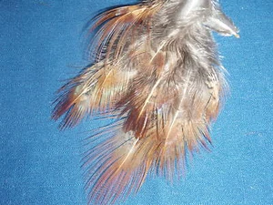 TRAUMHAFT FLAUSCHIGE FASANENFEDERN MÜHLE/HANDWERK/SCHMUCK - Bild 1 von 1