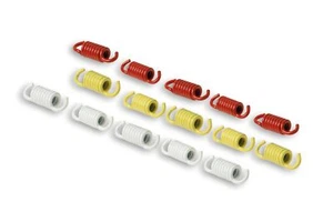 Série Ressorts MALOSSI 2913137 Racing Pour Embrayage Maxi Scooter - Bild 1 von 1