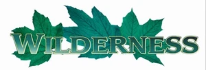 Wilderness RV Graphic Printed sticker campers - Picture 1 of 2