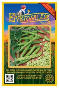 20 Broad Windsor Fava Bean Seeds - Everwilde Farms Mylar Seed Packet - Picture 1 of 3