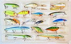 18-Piece Rapala Storm Cordell Crankbait & Jerkbait Fishing Lure Lot Plano Case