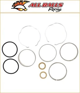 Triumph Thunderbird 1600 2009-2013 ALLE KUGELN Gabel Reparatursatz - Bild 1 von 1