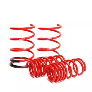 SKUNK2 LOWERING SPRINGS 01-05 FOR HONDA CIVIC EP NON TYPE R - Picture 1 of 3