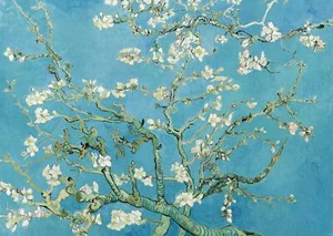 Van Gogh Riesenposter Mandelblüten, 1890 140 x 100 cm - Bild 1 von 1