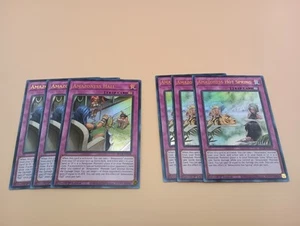 Yu-Gi-Oh! 6 Karten Lot 3x Amazoness Hall 3x Amazoness Hot Spring BLCR - Bild 1 von 3