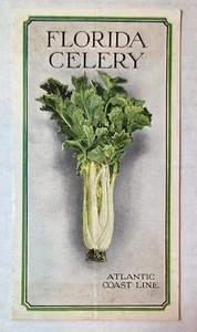 20er Jahre Florida Selleriezüchter Tourismus Broschüre, Atlantic Coast Line, Geschichte - Bild 1 von 4