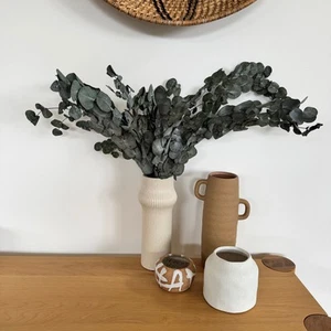 Australian Native Preserved Eucalyptus Cinerea - Dark Green - Picture 1 of 2