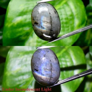 29.55ct 21.5x16mm Oval Cabochon Natural Rainbow With Luster Labradorite Gemstone - Picture 1 of 6