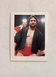 PEGATINA RICKY STEAMBOAT RC 1983 MENSUAL DX BBM JAPÓN - Imagen 1 de 2