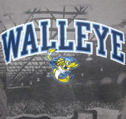 TOLEDO WALLEYE med tee Goalie Mask beat-up T shirt Ohio hockey Spike mascot ECHL Cover