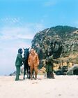 Planet of the Apes Roddy Mcdowall, Kim Hunter, Maurice Evans 24x36 inch Poster