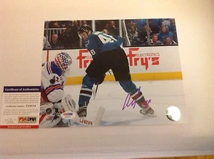 Tomas Hertl Signed 8x10 Photo SJ San Jose Sharks PSA DNA COA Autographed b - Picture 1 of 1