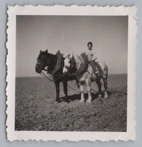 Landwirt Bauer Pferde Acker Landwirtschaft - Altes Foto 1950er - Picture 1 of 2