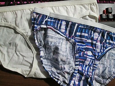 Новый 2 Hanes 100% хлопок бикини трусики💕 размер 5 / S слоновой кости + синий геометрический - Изображение 1 из 4