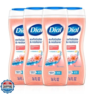 Dial Body Wash, Exfoliate and Restore Himalayan Salt, 16 Fl Oz (Pack of 4) - Picture 1 of 5