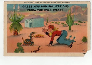 Saludos y saludos desde el Salvaje Oeste | Postal sin publicar - Imagen 1 de 2