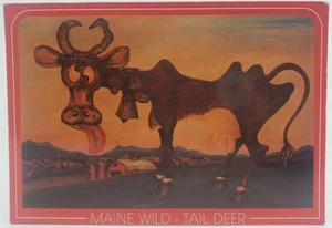 Maine Wild Tail Deer This Rare Breed Seldom Found At Tagging Stations Postcard - Picture 1 of 2