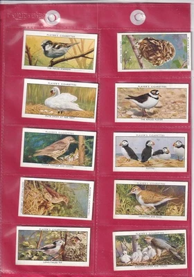 PLAYER'S - WILD  BIRDS - 1932 - 10 CARDS - HIGH NUMBERS - Image 1 of 2