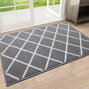 Indoor Door Mat, Dirt Resistant and Absorbent, Low-Profile, Non-Slip, Washable i - Picture 1 of 12