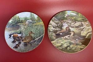 Par De Platos De Pato De Colección Coleccionistas Edwin M Knowles Northern Shoveler, Gadwall - Imagen 1 de 5