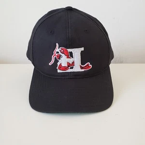 Hickory Crawdads Hat Cap Snap Back Black Twins Enterprise MiLB Minor Baseball - Picture 1 of 13