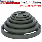 2 In Grip Cast Iron Olympic Weight Plates Set 5 10 25 35 45 lb Barbell Plates US