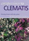 Companions To Clematis: Growing Clematis With Other Plants,Marigold Badc*Ck,She