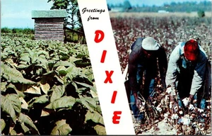 Grüße von Dixie Baumwolle Postkarte - Bild 1 von 2