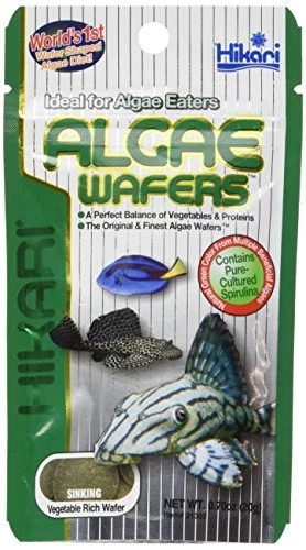 Hikari USA Inc Ahk21302 Tropical Sinking Algae Wafers .70oz