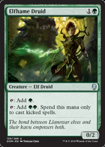 Elfhame Druid - Dominaria - English - NM - MTG - Image 1 of 1