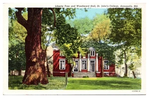 VTG Liberty Tree and Woodward Hall, St. John's College, Annapolis, MD Postcard - Picture 1 of 2