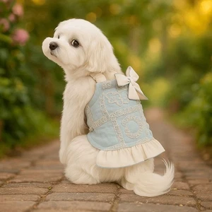 Ropa de verano estilo princesa cachorro disfraz de perro de lujo falda de perro Chihuahua - Imagen 1 de 17
