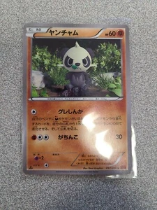 Pancham - 59/113 - First Edition - Furious Fist Regular Common - Pokémon TCG JPN - Picture 1 of 6