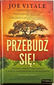JOE VITALE - PRZEBUDZ SIE - Picture 1 of 1