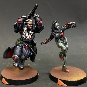 Infinity Troubled Theft Presale Painted Gallery Army Games Workshop Miniature - Picture 1 of 6