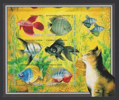 Bloque Azerbaiyán 2002 acuario peces gatos MNH aXF/S imperforado Z4260 Foto 1 de 4