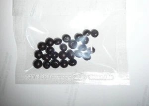 Florida Sabal Palmetto Palm Seeds  - Picture 1 of 1