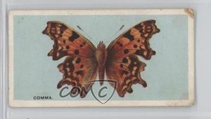 1983 Grandee British Butterflies Comma #17 0w6