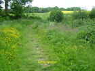 Photo 12X8 Path Through Wild Flowers Alongside Court Lodge Shaw The Path H C2013