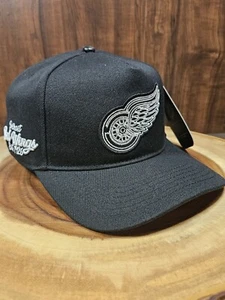 Detroit Red Wings Pro Standard Snapback Adjustable Hat Cap NHL Hockey - Picture 1 of 11