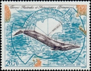 Timbre TAAF PA 139** neuf sans charnière - Imagen 1 de 1