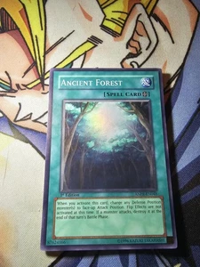 Ancient Forest - 1st Edition - Super Rare - ANPR-EN048 NM - Picture 1 of 1